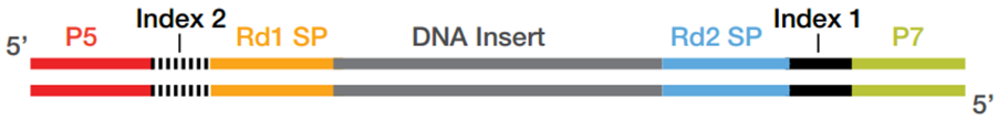 Illumina adapter portfolio